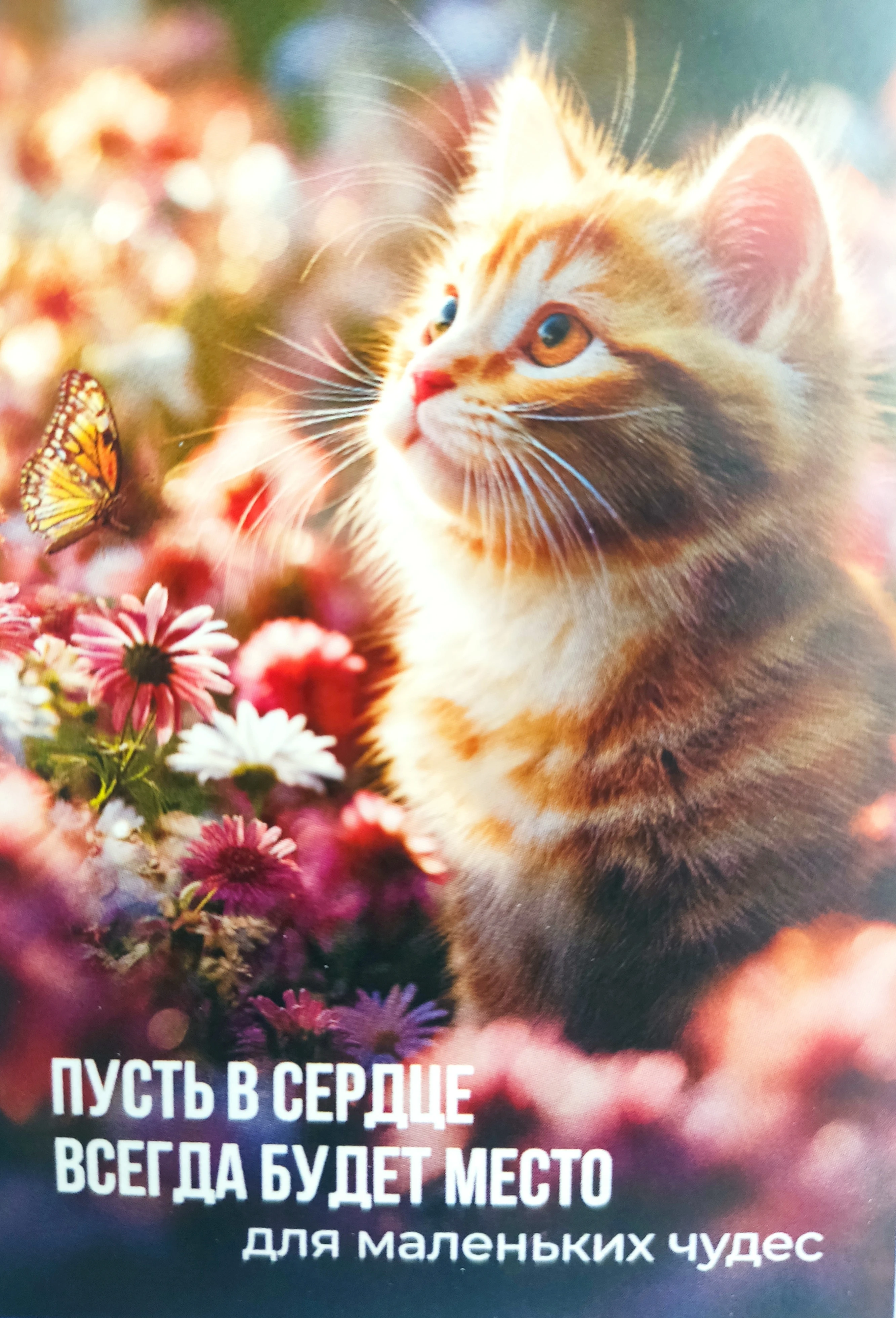 Всем бодрого роста - изображение