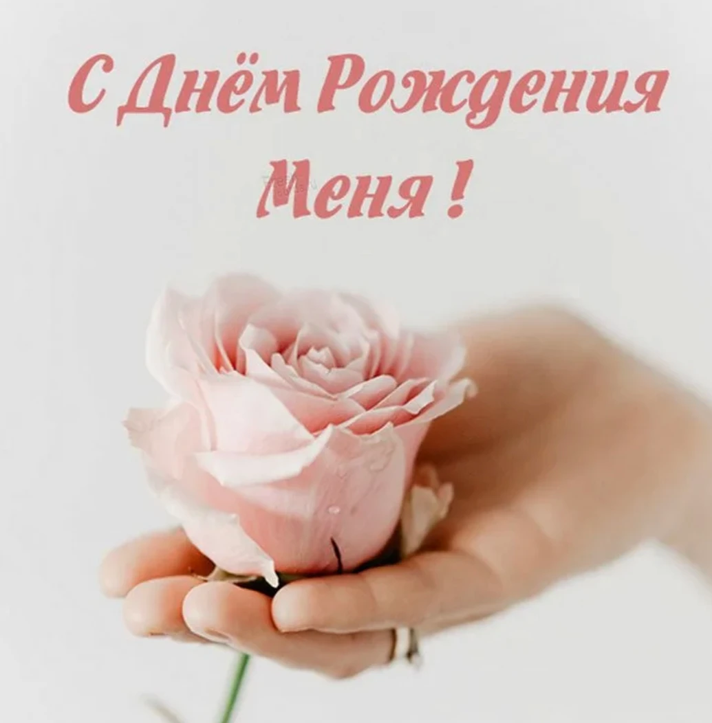 Изображение из поста - изображение