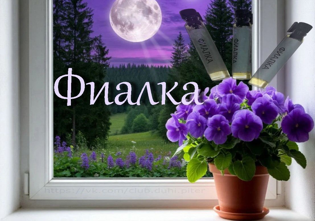 Когда-то, года 3–4 назад, одолела меня меланхолия. Она редкая гостья у меня, как и пессимизм, а тут, эта парочка - изображение