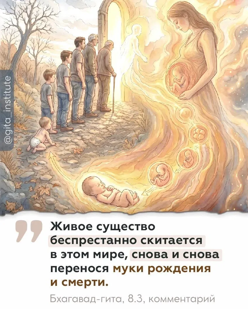 Изображение из поста - изображение