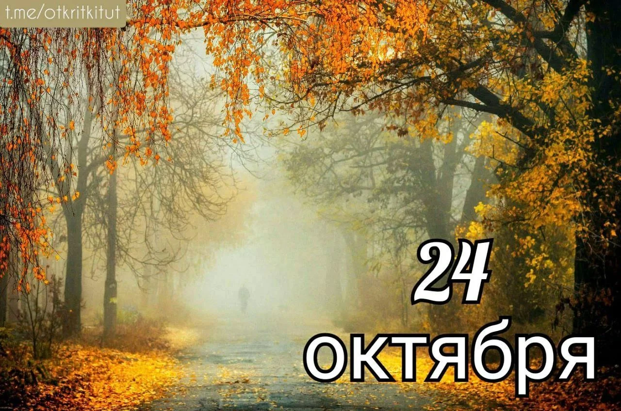 ✅ День любви к тёплым носкам ✅ Праздник любителей бильярда ✅ День русской матрёшки ✅ Всемирный день кенгуру ✅ - изображение
