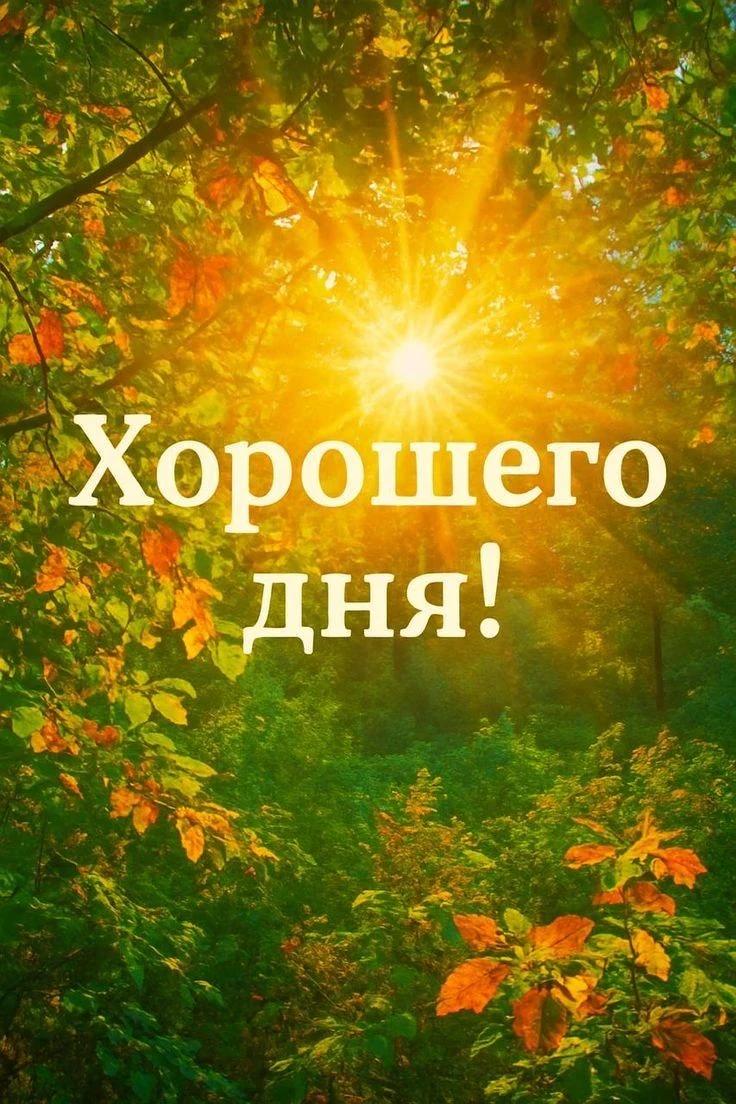 Изображение из поста - изображение