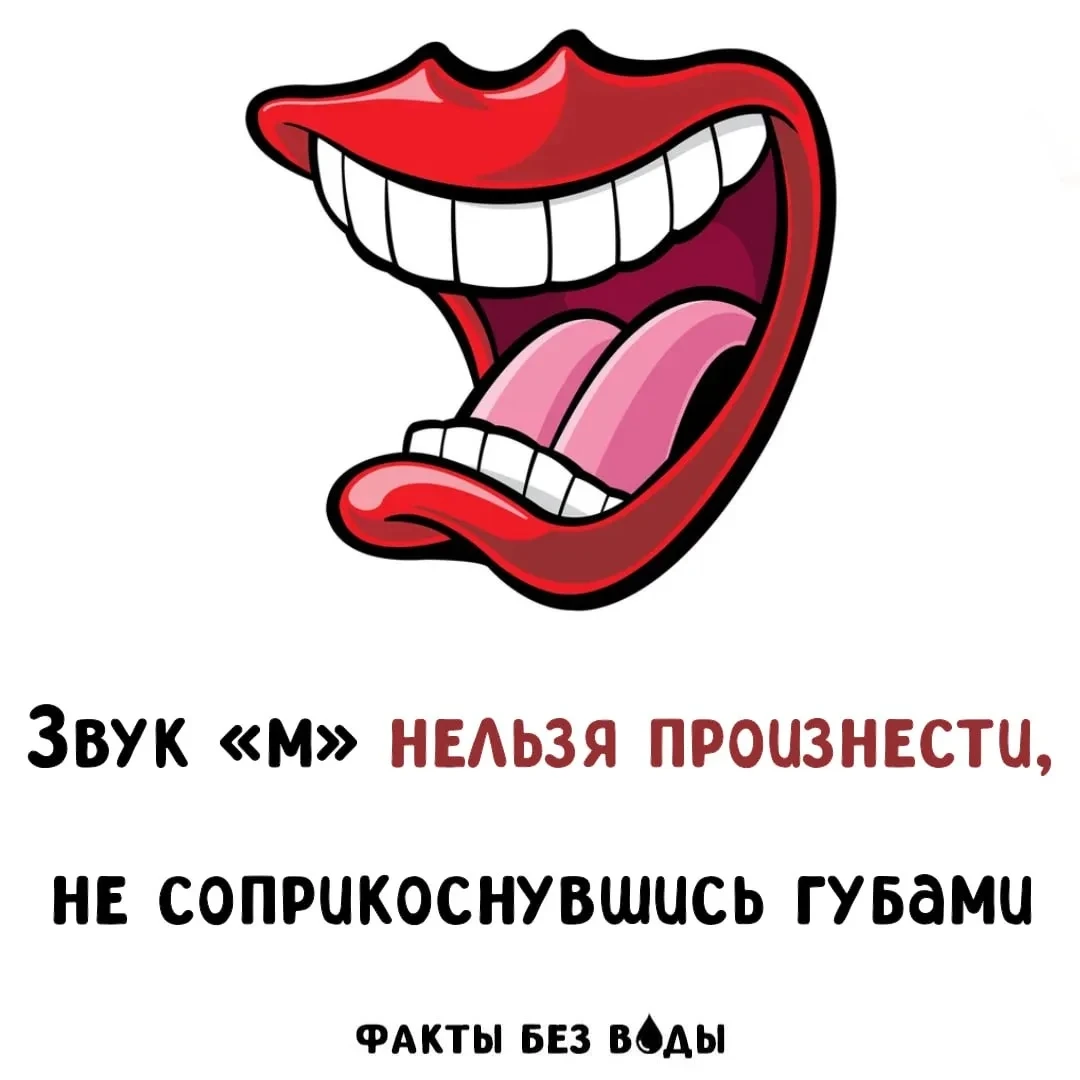 Проверяем? - изображение