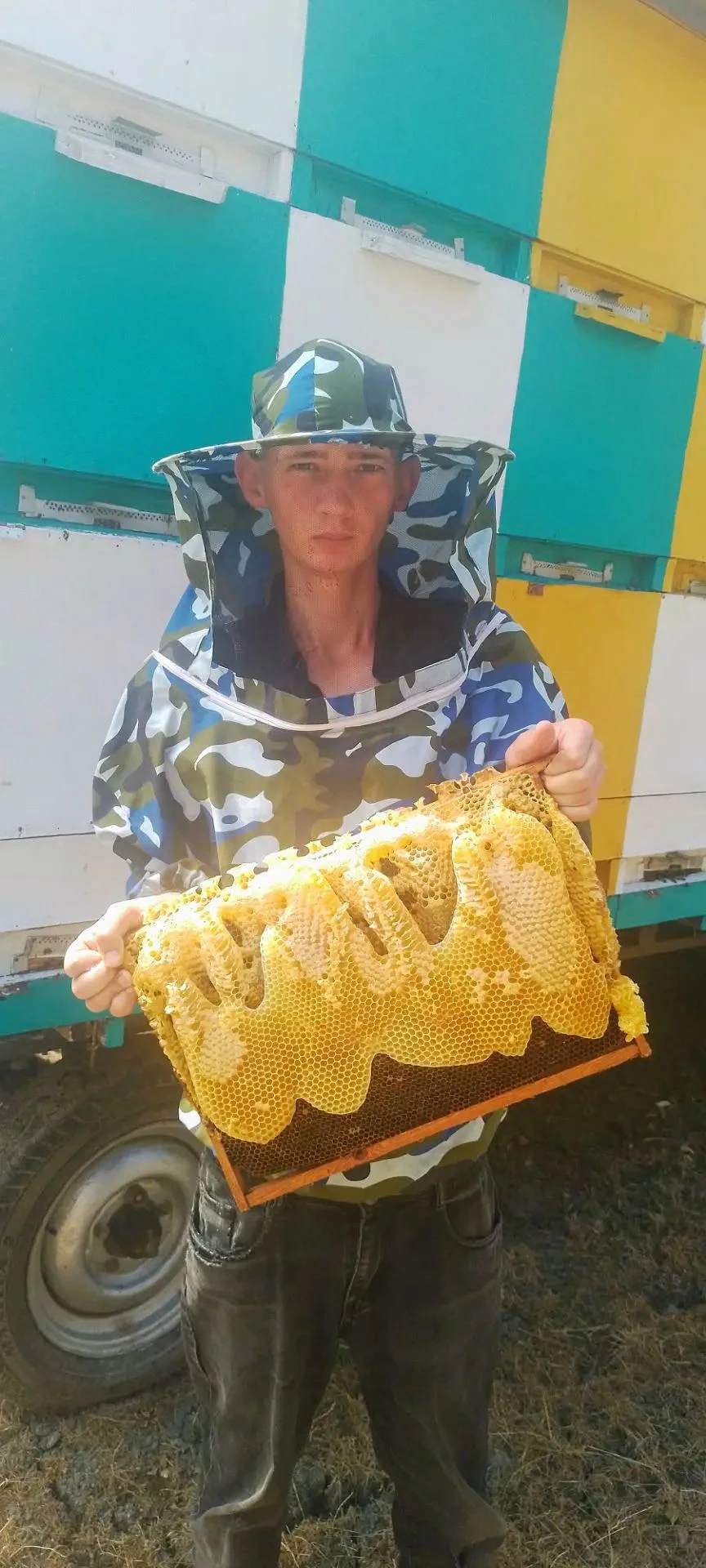 🐝 Инвестиции в пчеловодство: как превратить любовь к природе в стабильный доход Привет, друзья! Сегодня хочу - изображение