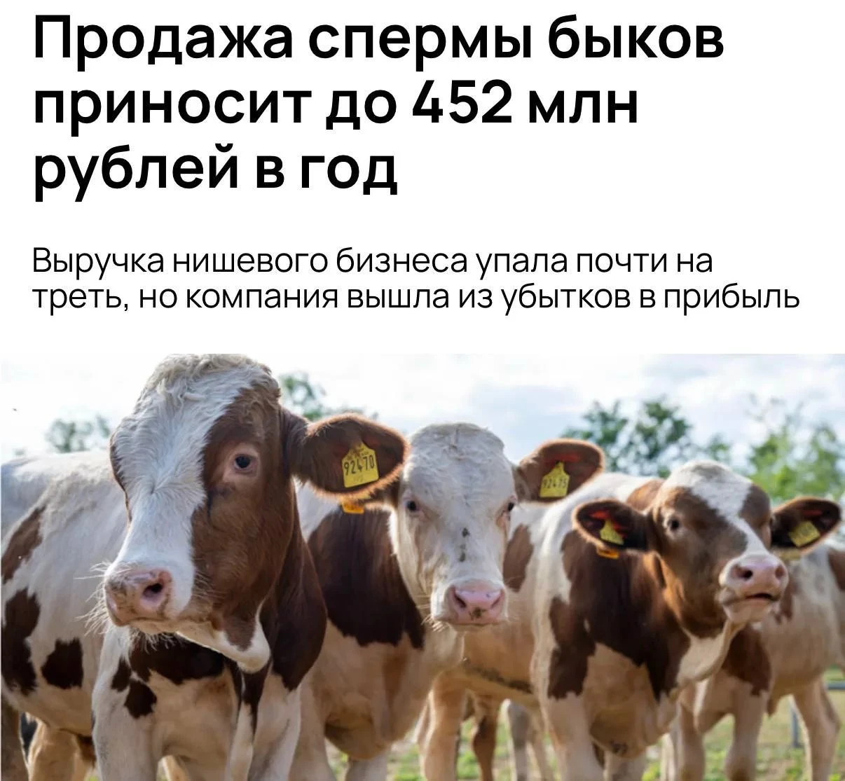 ♉️ Продажа спермы быков приносит до 452 млн рублей в год Именно столько заработала российская компания, - изображение
