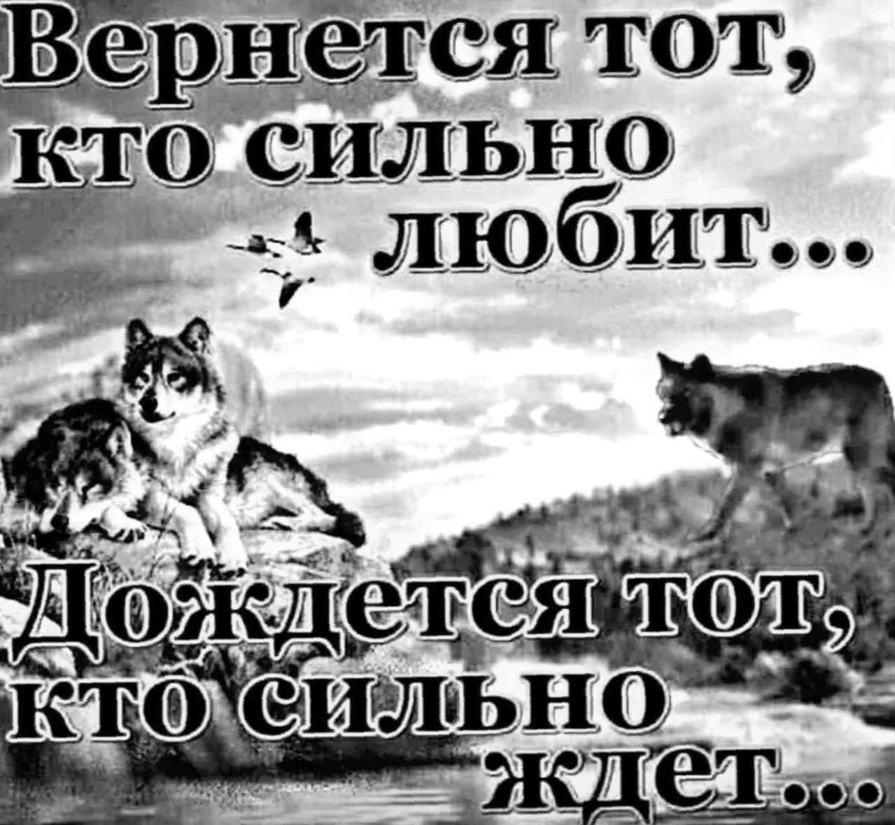 #Базар. Всем прекрасного дня и вечера - изображение