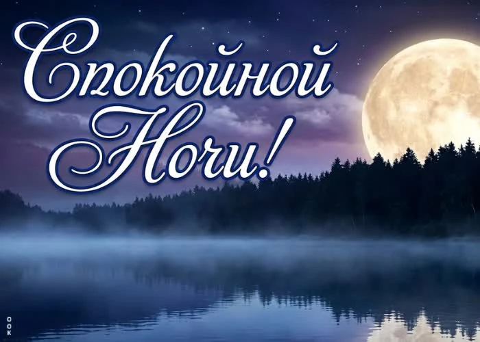 Большое спасибо всем участникам Finbazar за уроки и за атмосферу! 💛 Здесь не просто знания — здесь люди, - изображение