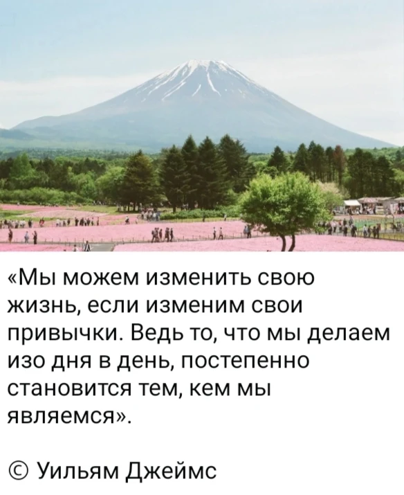Изображение из поста - изображение
