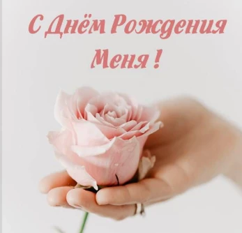 Изображение из поста - изображение
