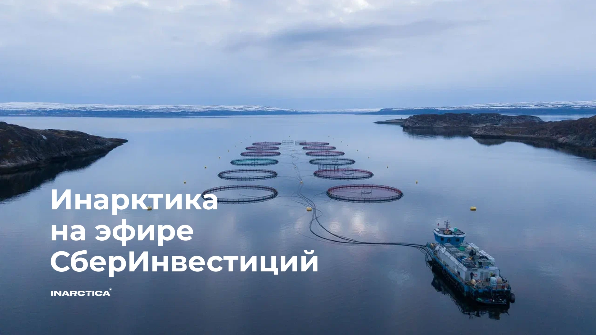 Заместитель генерального директора Андрей Баранов расскажет о результатах Инарктики и планах развития бизнеса, о - изображение