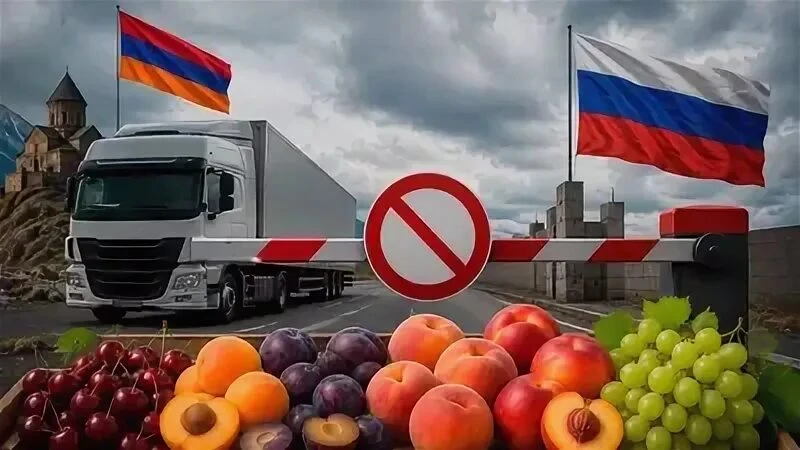 📉 АРМЯНСКИЙ ТРАНЗИТ ПОД УДАРОМ: ВЫДЕРЖИТ ЛИ РОССИЙСКИЙ ПАРАЛЛЕЛЬНЫЙ ИМПОРТ НОВЫЕ БАРЬЕРЫ РОССЕЛЬХОЗНАДЗОРА? 🔴 - изображение