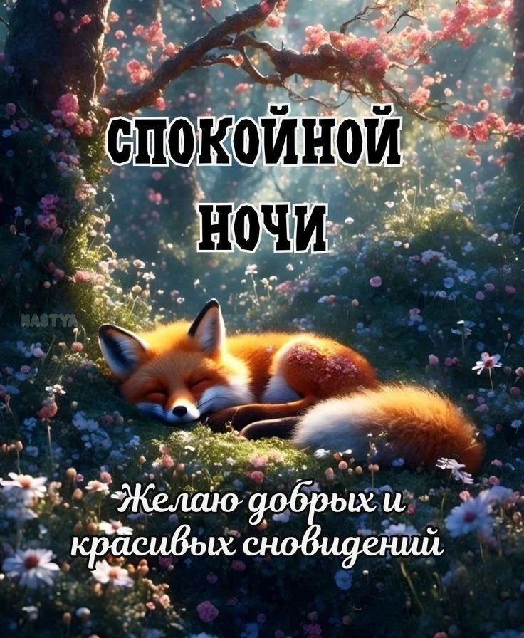Сладких исцеляющих снов - изображение