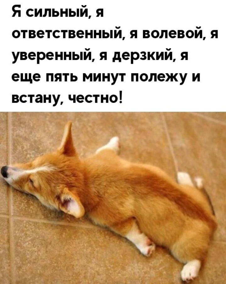 Изображение из поста - изображение