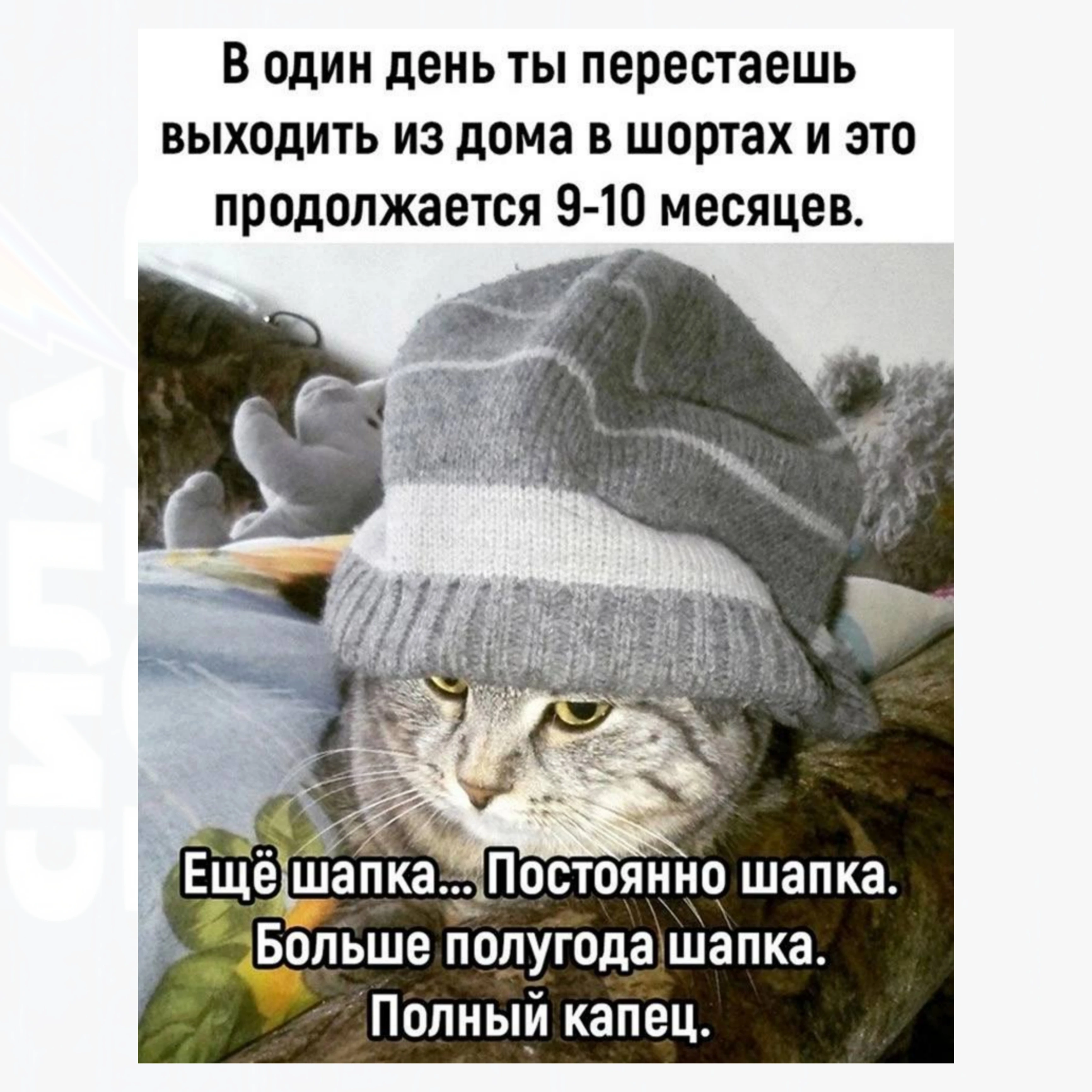 Изображение из поста - изображение