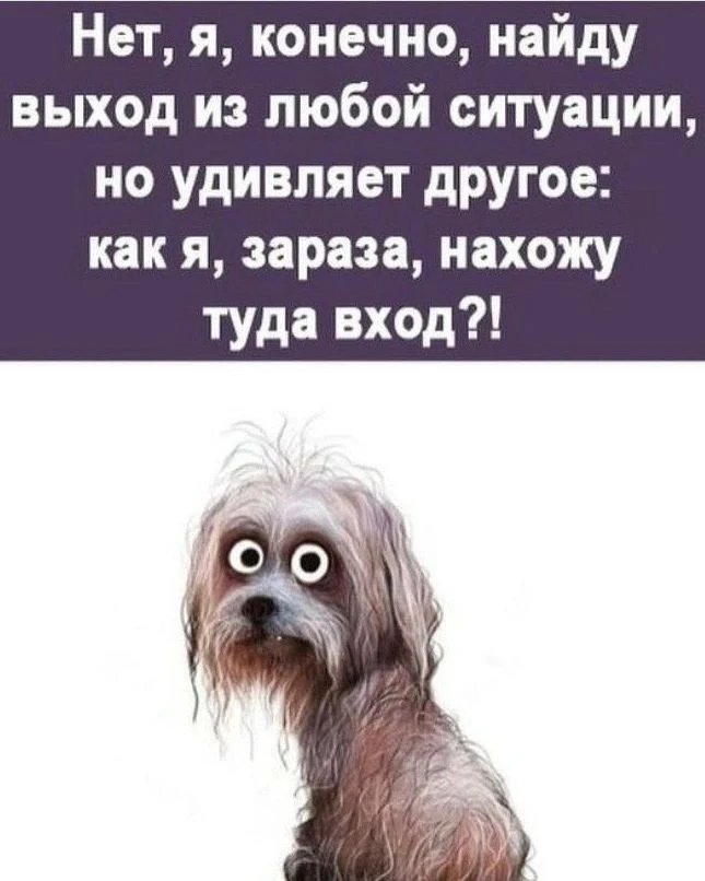 Это талант такой #юмор - изображение