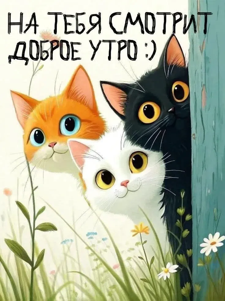Доброе утро! Вот и пятница. А впереди выходные дни! И хочется, чтобы прошли они в компании с дорогими людьми! - изображение