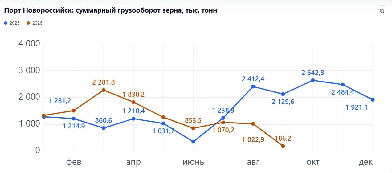 В правительстве рассматривают масштабный перечень возможных мер господдержки терминалов Азово-Черноморского - изображение