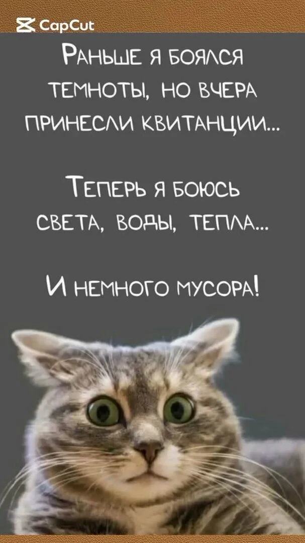 Изображение из поста - изображение