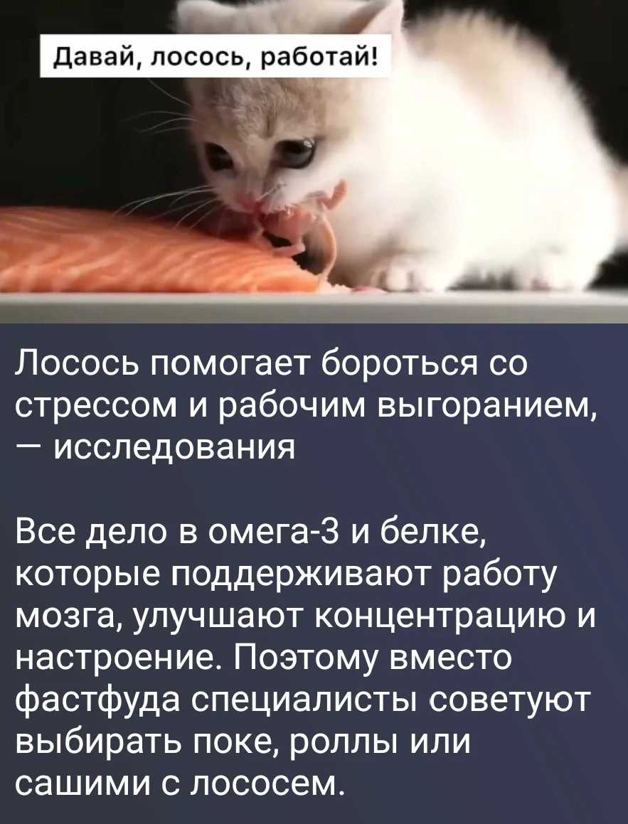 Изображение из поста - изображение
