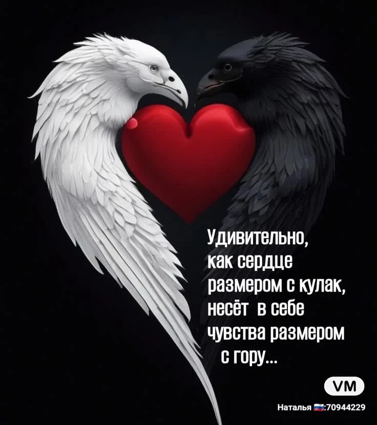 #базар #новыйдень #легкость #всему_свое_время 🦋Не забирайте у себя сегодняшний шанс ради вчерашних сомнений. - изображение