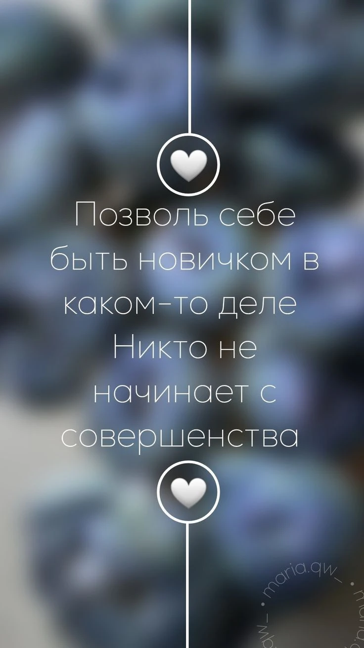 Самое лучшее время начать -сейчас. - изображение