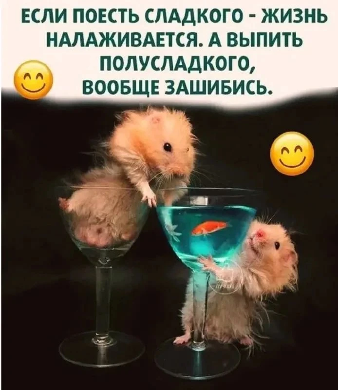 #юмор - изображение