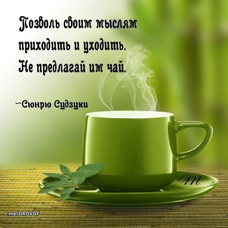 #Осознанность #базар#Мысли #Медитация #Дзен #Наблюдение #ВнутренняяТишина #Духовный Цитата, которая - изображение