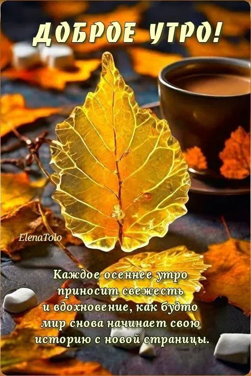 Доброе утро! Сегодня всё внимание бабушкам и дедушкам! ЛюбИте их изо всех сил! И они отдадут вам свою заботу и - изображение