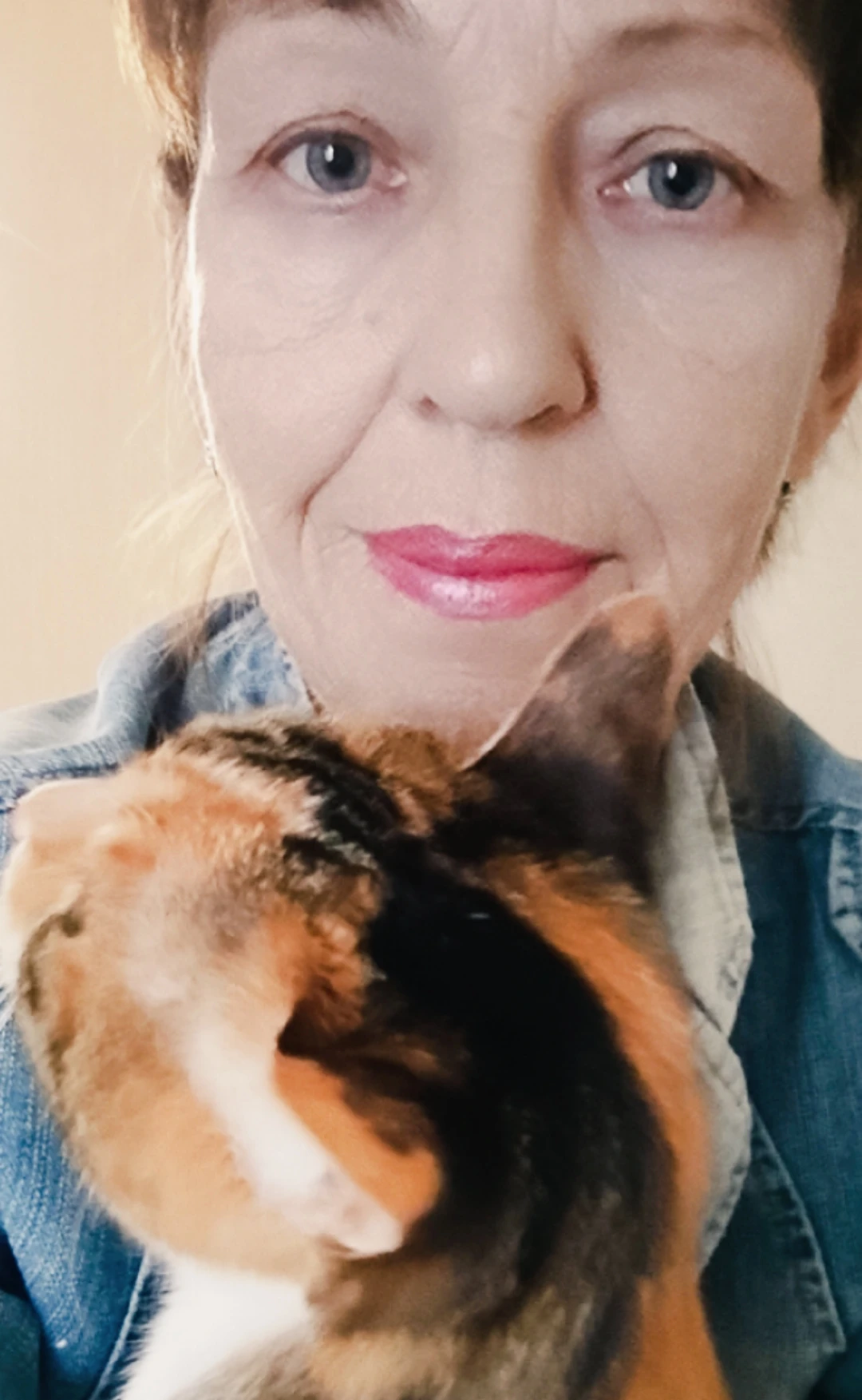 ‎✨Немного забавно и очень уютно - это наше вам: Доброе утро! 😻 ‎ * * * ‎Простые радости и просто — утро! ‎Кошку - изображение