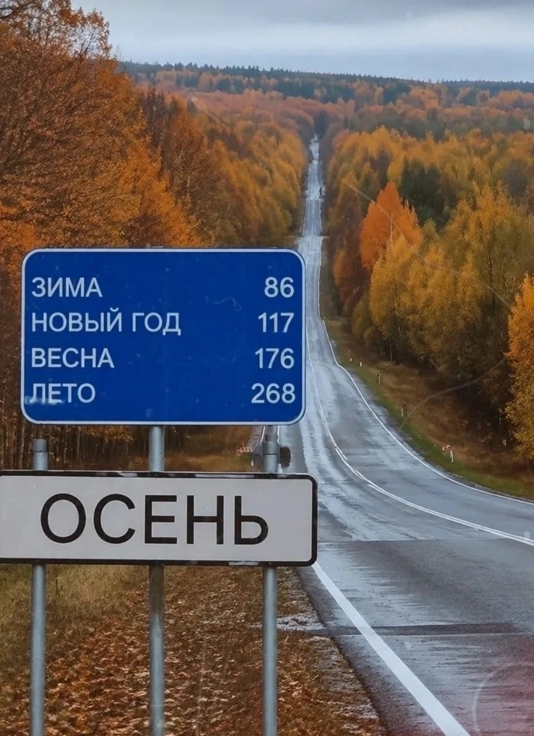 На фотографии — осенняя дорога, уходящая вдаль. Деревья в ярких красках: жёлтые, оранжевые и красные листья - изображение