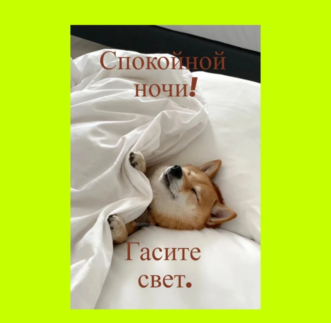 Доброй ночи! Гасите свет:) А то мне отсвечивает:)) - изображение