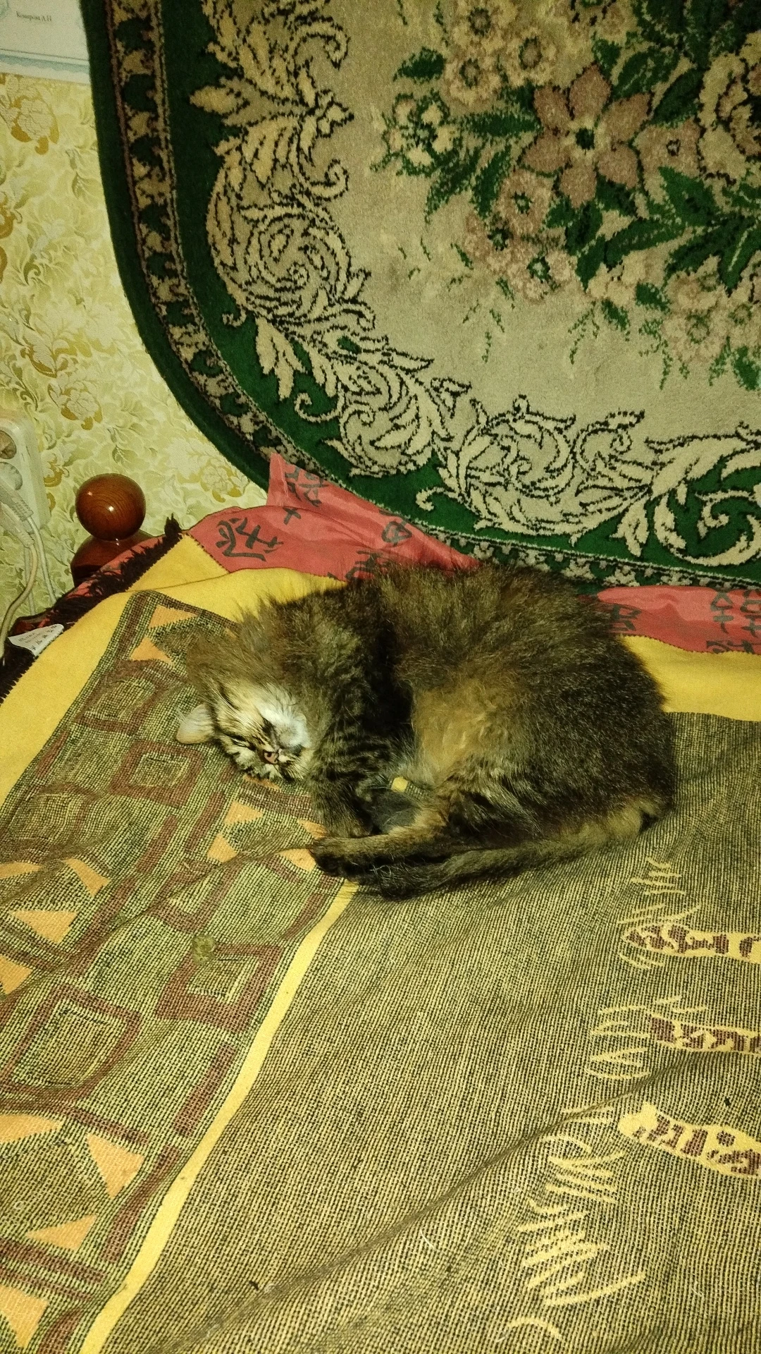 Если в доме кот - Это хорошо! Смотришь на него - На Душе тепло! Если счастлив он радостно и вам! Подели с котом - изображение