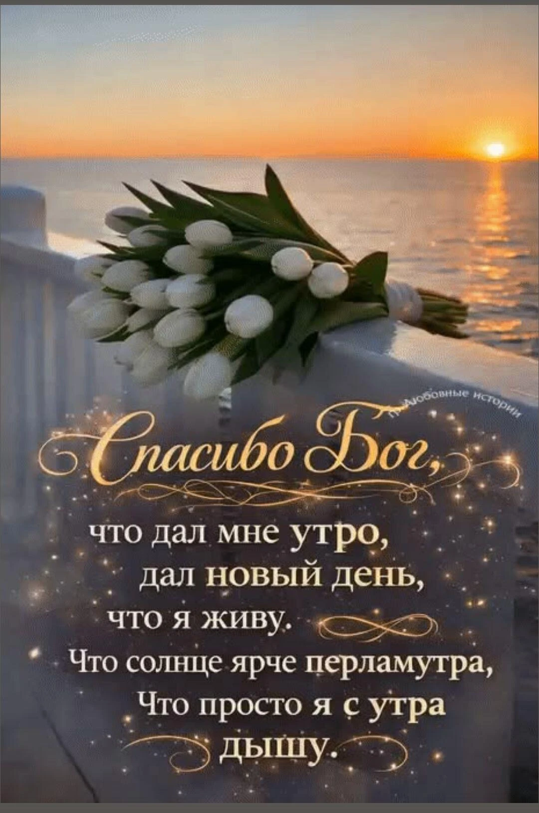 Изображение из поста - изображение