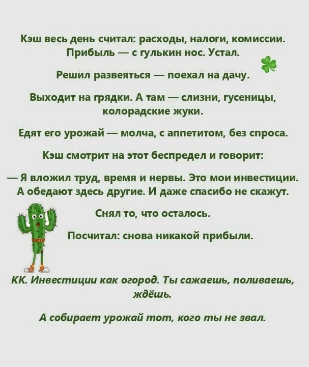 🌵 Кэш думал, что на даче отдохнёт от оброка. Не тут то было.... Там уже собралась своя "налоговая" с большим - изображение