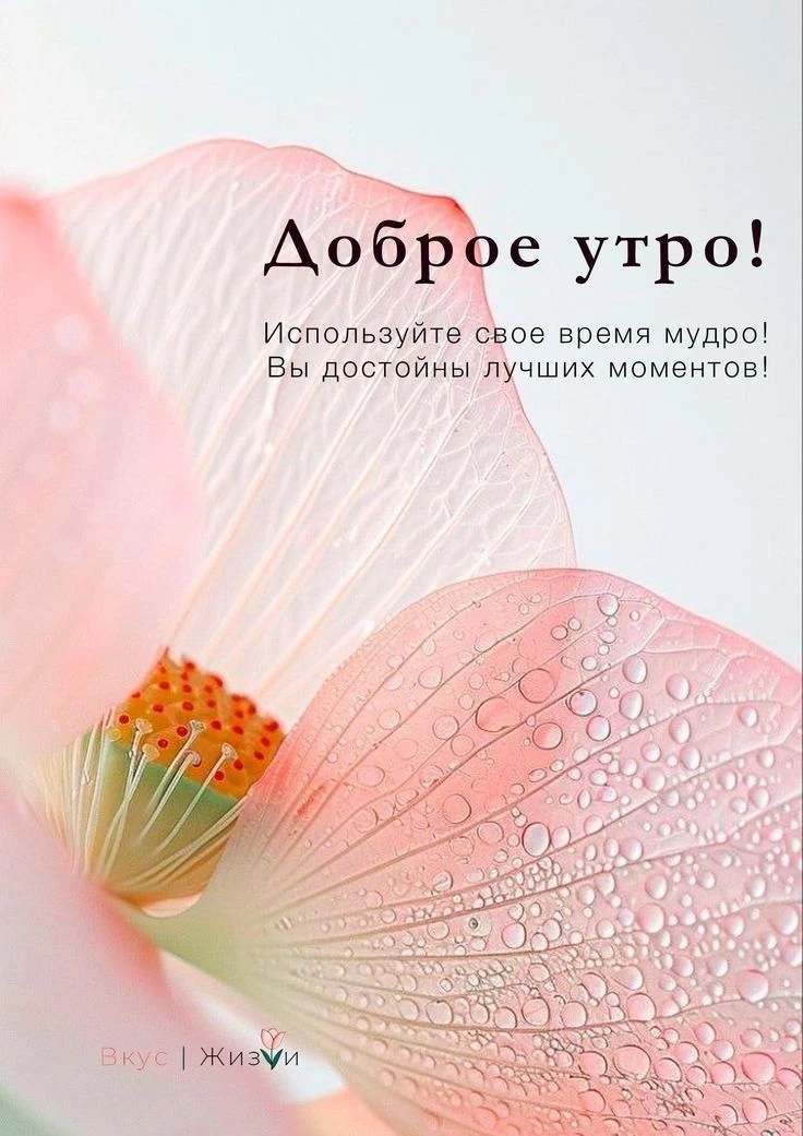 Доброе утро! ☀️🌺 Время — самый невосполнимый ресурс. И очень важно не просто «проводить» его, а инвестировать в - изображение