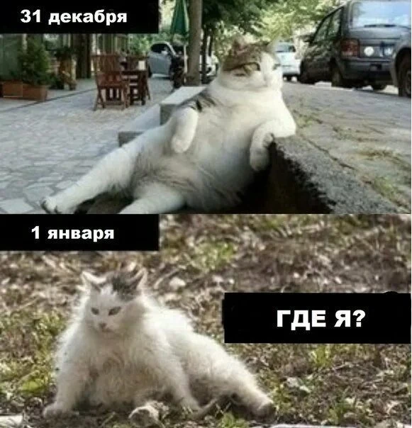 Изображение из поста - изображение
