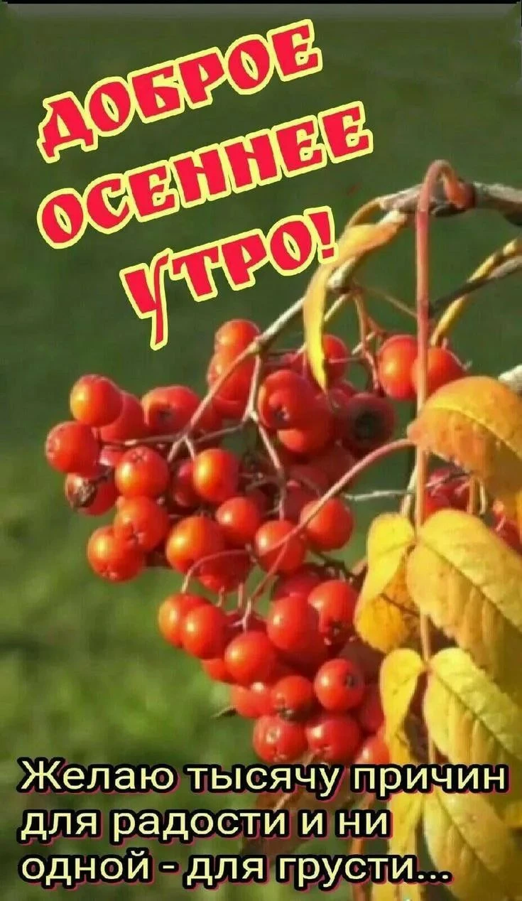 Прекрасной субботы - изображение