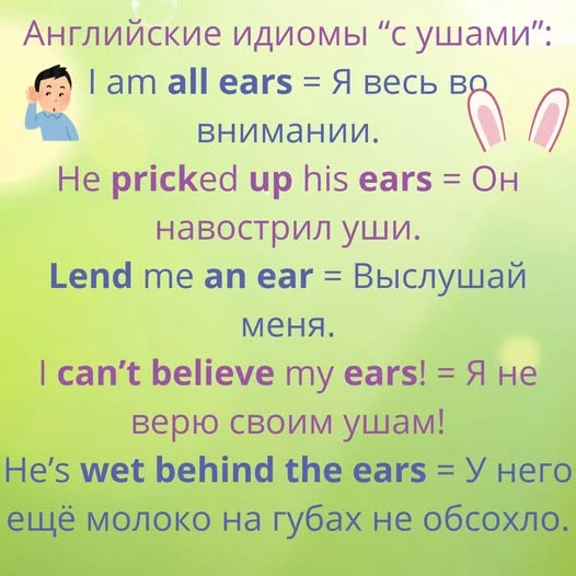 В английском ещё много идиом и устойчивых выражений со словом ears. Пишите те, что воспомните в комментарии! - изображение