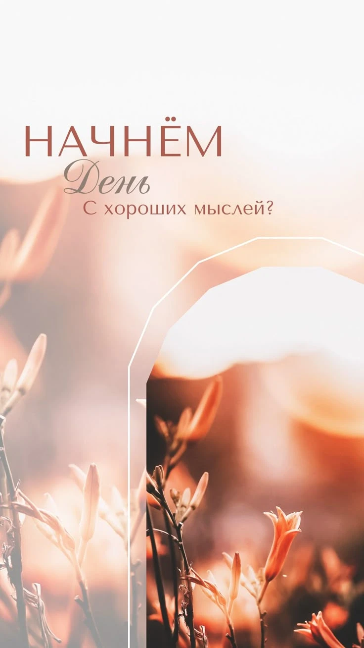 Изображение из поста - изображение