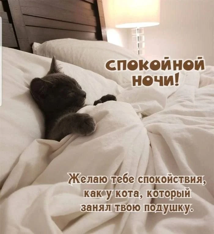 Доброй ночи, исцеляющих снов - изображение
