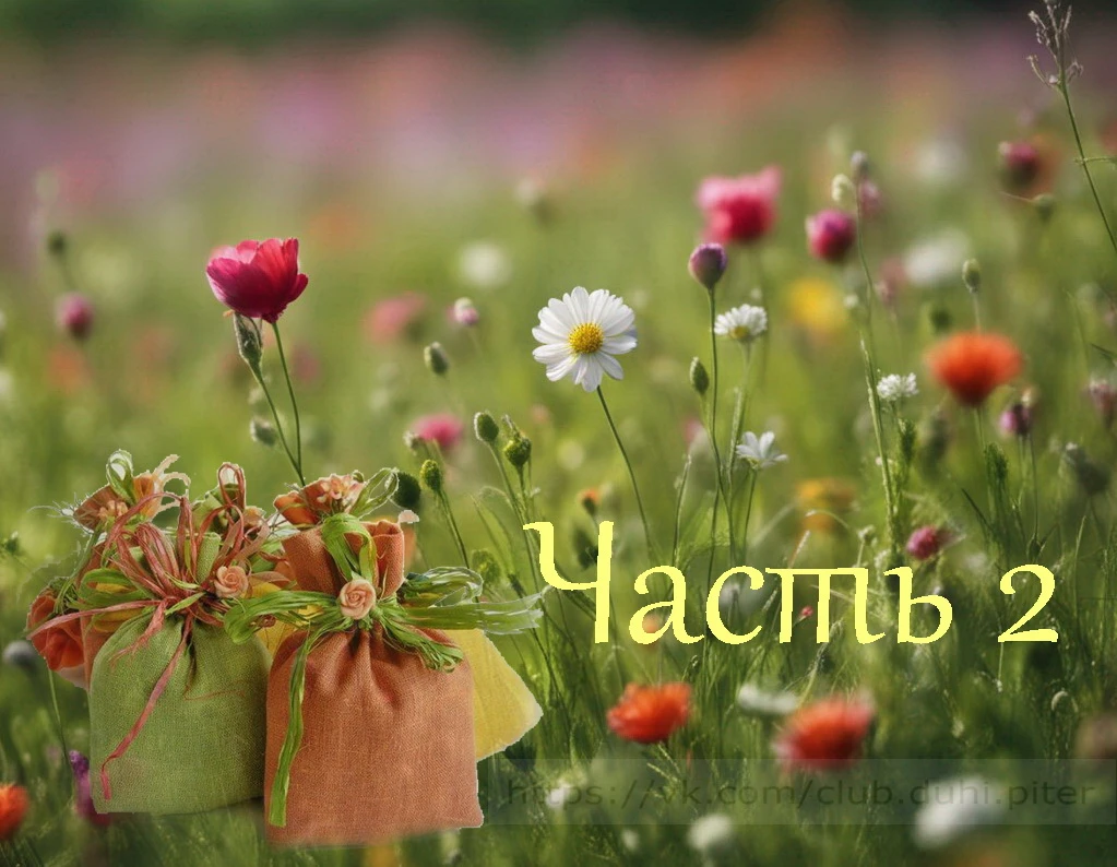 ЗАЩИТА ОТ КОШМАРОВ Люпина цветы – 1 ч Гелениума цветок – 1 ч Алтей – 1 ч Щавель – 1 ч Бузина – 1 ч Полынь – 1 ч - изображение