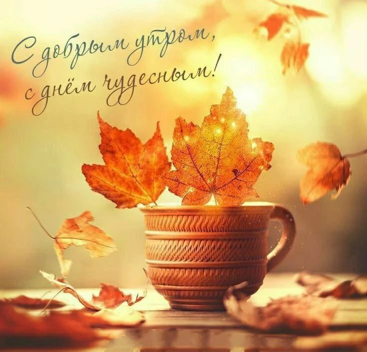 Доброго утра, прекрасного дня! - изображение
