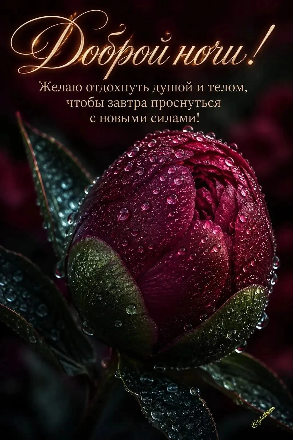 Изображение из поста - изображение