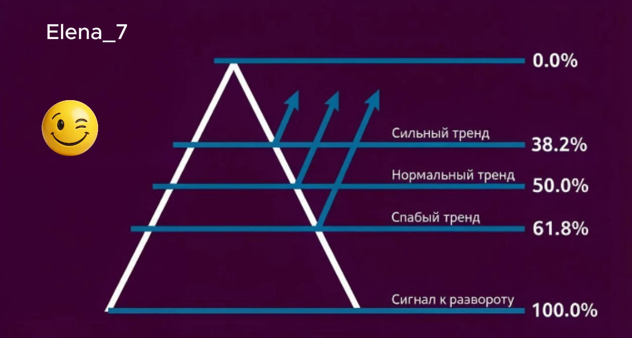 🐰📈 От кроликов к графикам: как родился инструмент Леонардо Фибоначчи в 1202 году изучал популяции кроликов, не - изображение