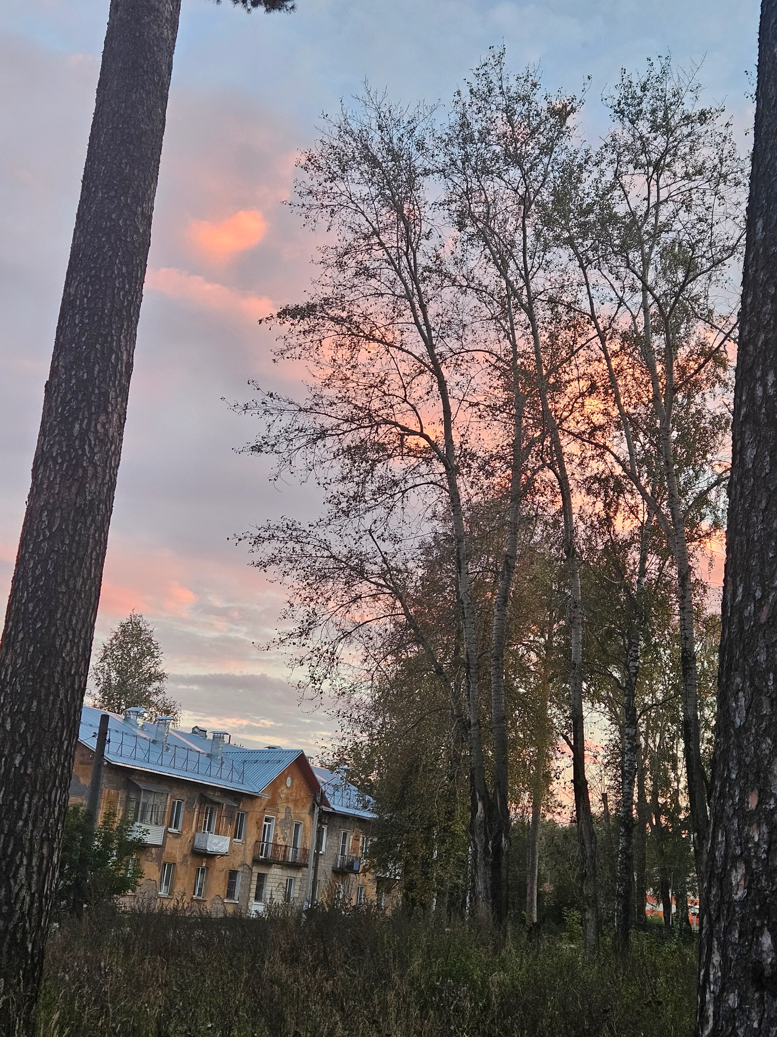 Ещё один из имеющихся😍 Недавно обнаружила, что в моем городе есть курсы по фотографии, бесплатные. Понятно, что - изображение