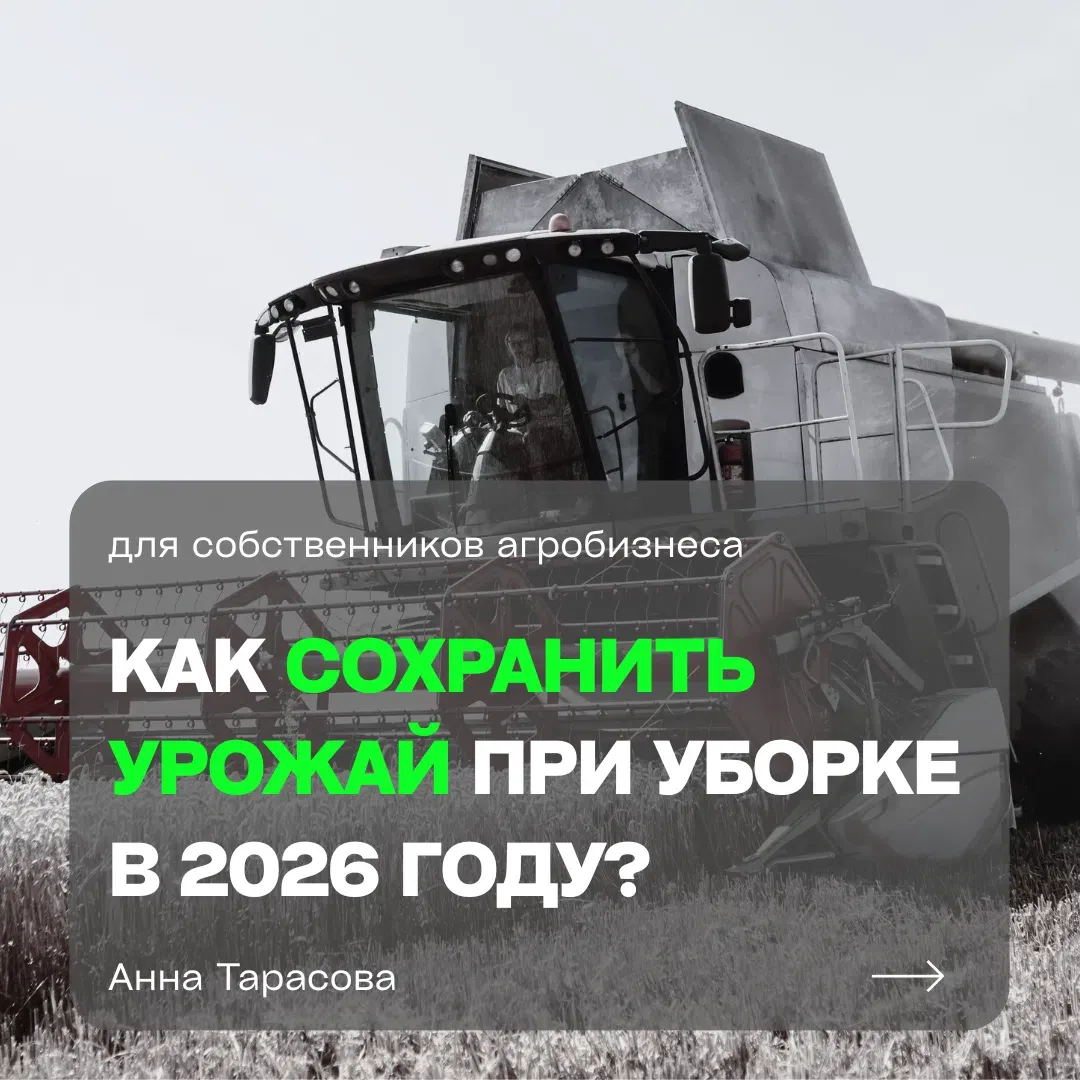 Даже при высокой урожайности и хорошей цене на зерно итоговая маржа может «съедаться» потерями, которые в - изображение