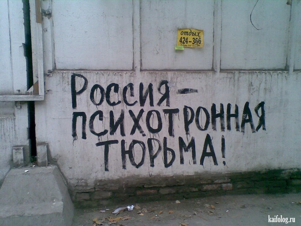 Изображение из поста - изображение