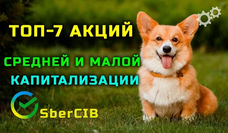 Настроение на рынке немного улучшилось, а в такие периоды акции малой капитализации обычно дают хорошую - изображение
