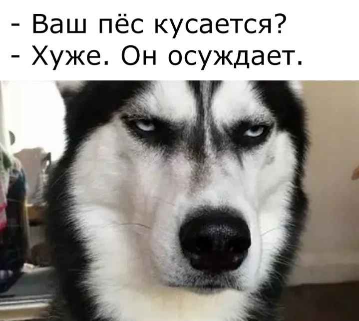 Изображение из поста - изображение