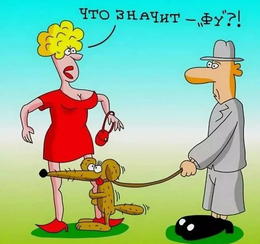 Изображение из поста - изображение